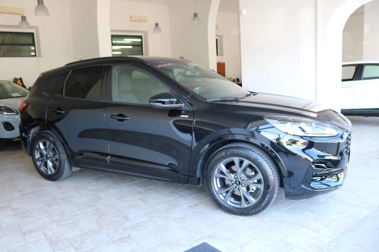 Ford Kuga 2.0 EcoBlue 120 CV aut. 2WD ST-Line Business