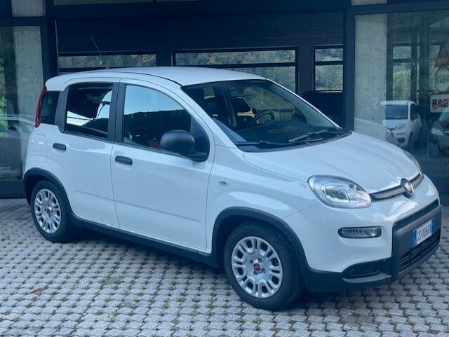 Fiat Panda 1.0 FireFly S&S Hybrid 2024