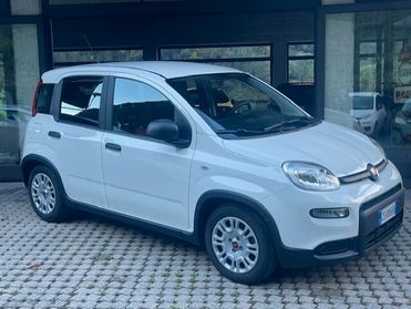 Fiat Panda 1.0 FireFly S&S Hybrid 2024
