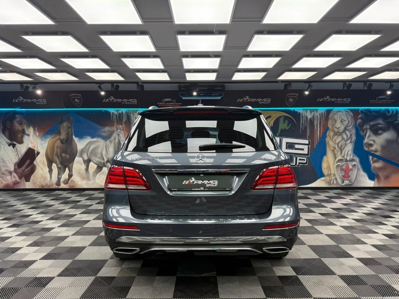 Mercedes-benz GLE 250 d 4Matic Exclusive Plus (672)