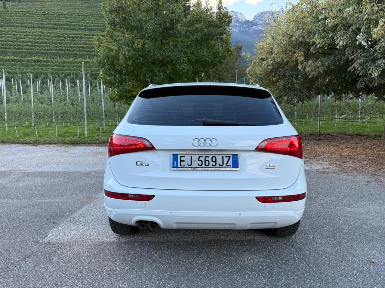 Audi Q5 2.0 TDI 170 CV quattro S tronic Advanced Plus