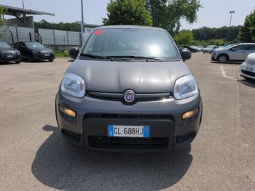FIAT Panda PANDA HYBRID 1.0 70 CV