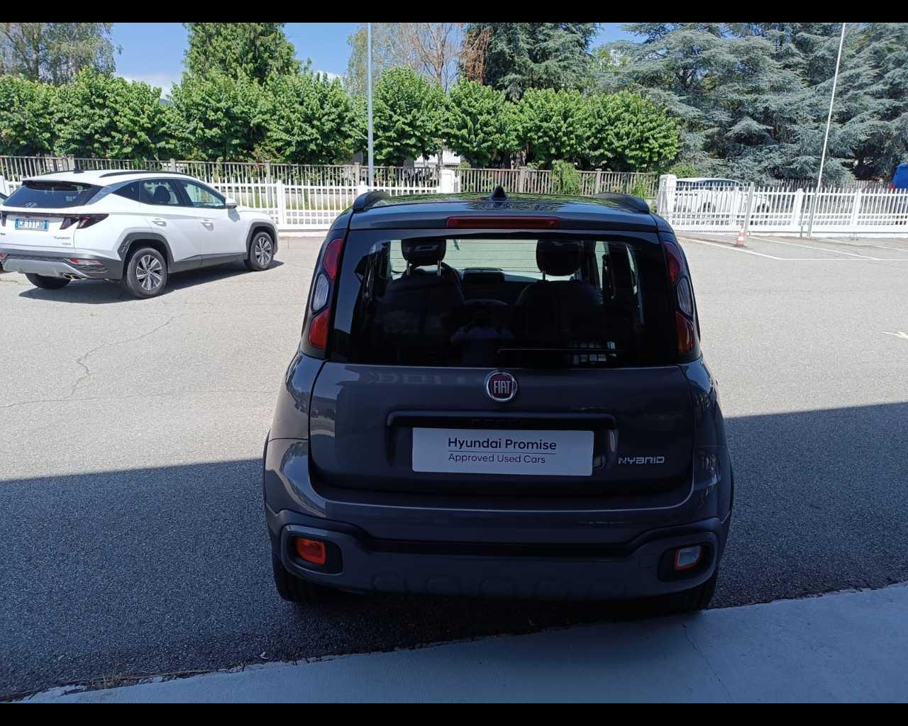 FIAT Panda III 2021 - Panda 1.0 firefly hybrid City Cross s&s 70cv