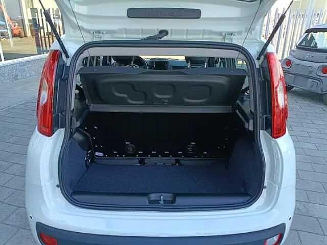 Fiat Panda Hybrid 1.0 FireFly 69cv ICON AZIENDALE