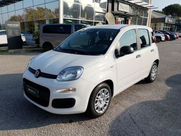 FIAT Pandina Pandina 1.0 firefly hybrid Icon s&s 65cv