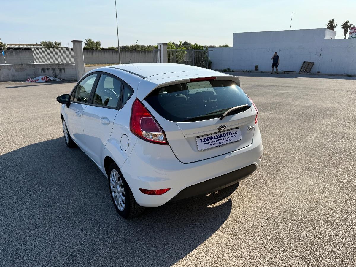 FORD - Fiesta - 1.5 TDCi 75 CV 5p. Business