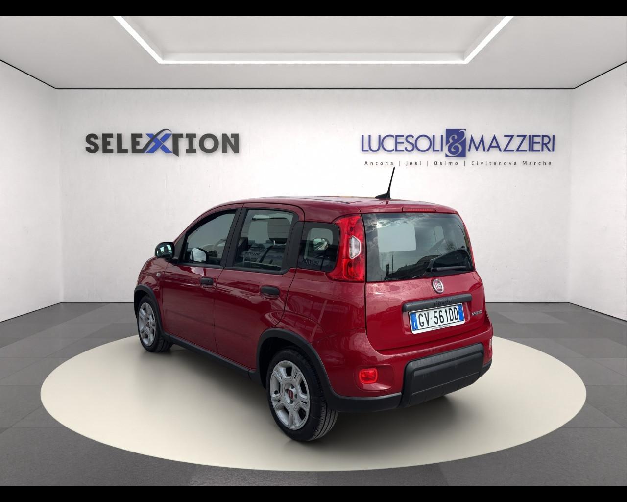 FIAT Panda My23 1.0 70cv Hybrid Panda