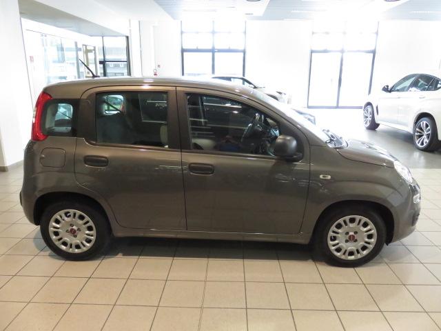 Fiat Panda 1.0 firefly hybrid s&s 70cv