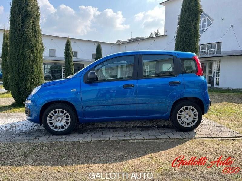 FIAT Panda 1.0 FireFly 70cv S&S Hybrid 4 p.ti - PROMO GALLOTTI