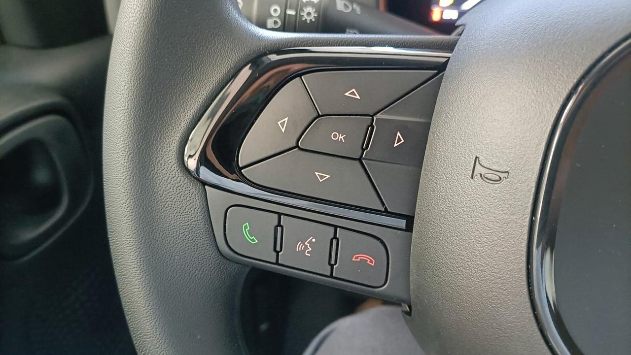 Fiat Panda 1.0 S&S Hybrid new 25