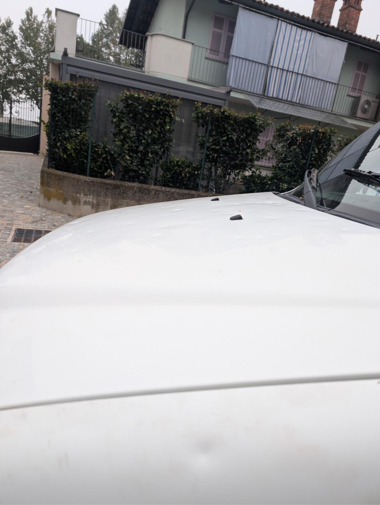 Fiat Doblo 1.9 diesel cat Cargo Lamierato