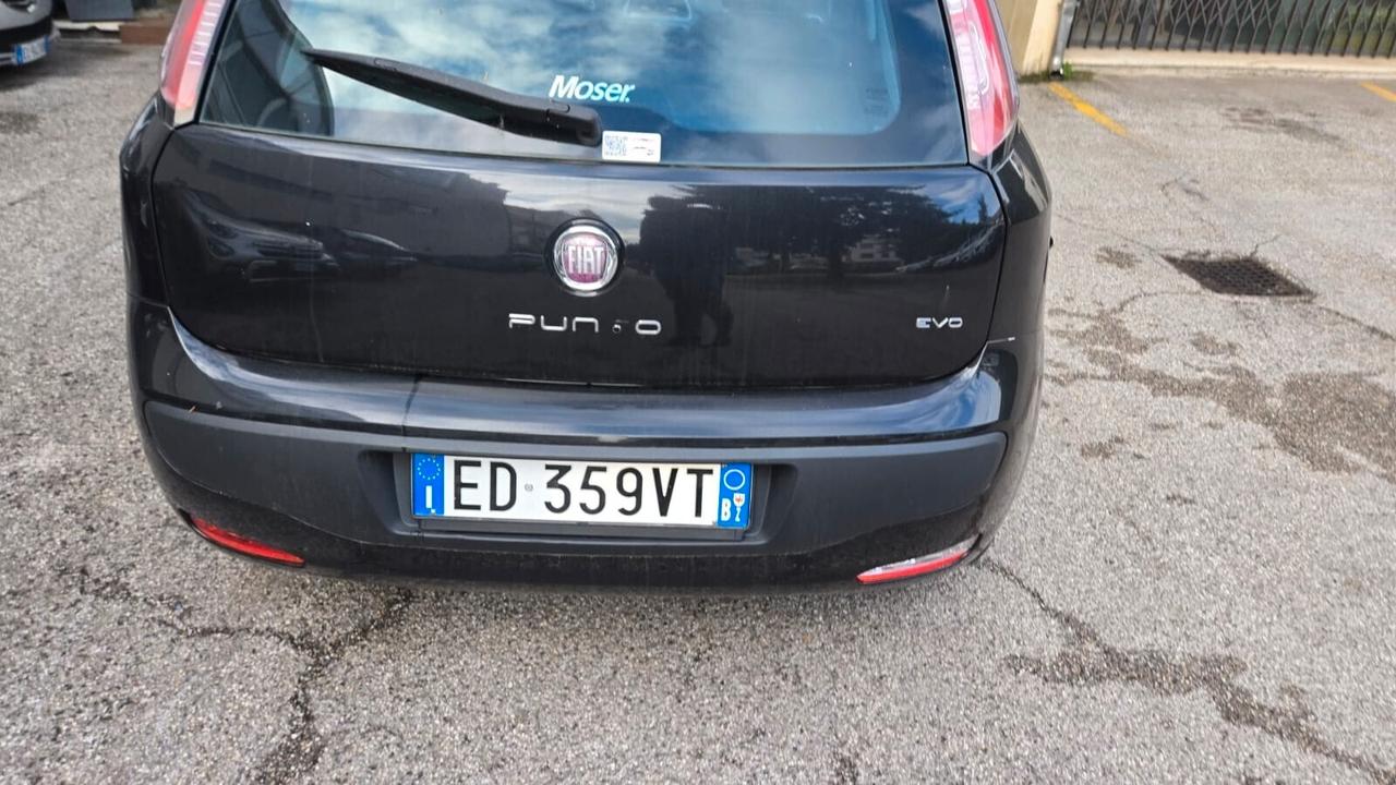 Fiat Punto Evo Punto Evo 1.2 5 porte Neopatentati