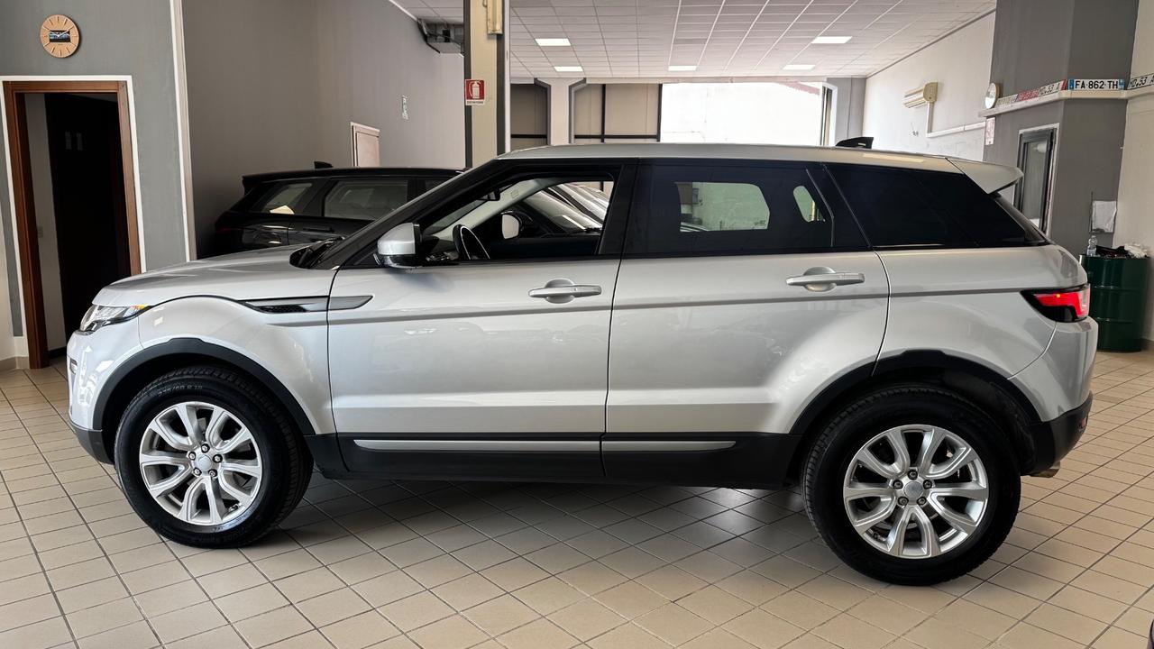 Range Rover Evoque 2.0 TD4 150 CV 5p. SE