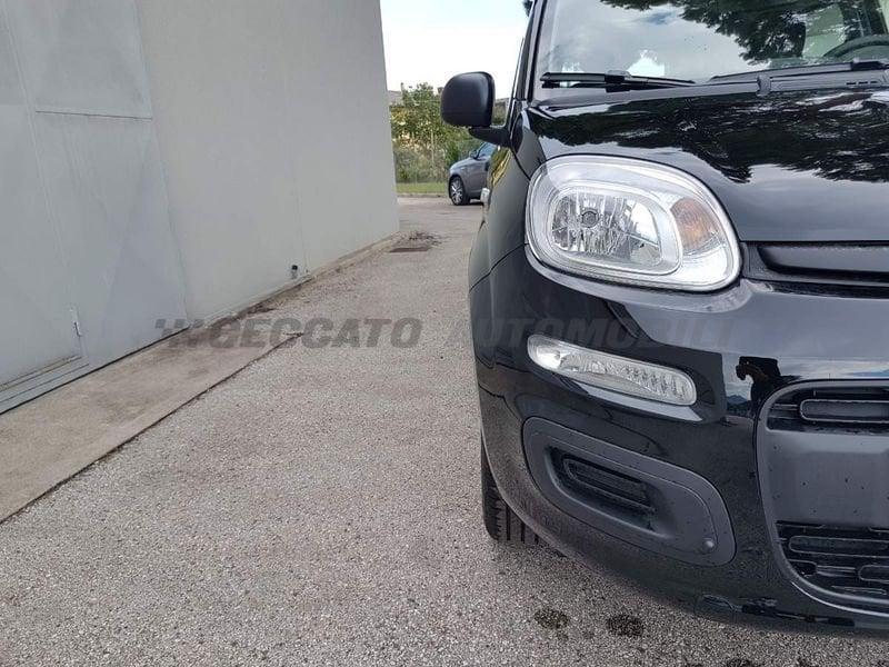 FIAT Panda Panda 1.0 70cv Hybrid Pop