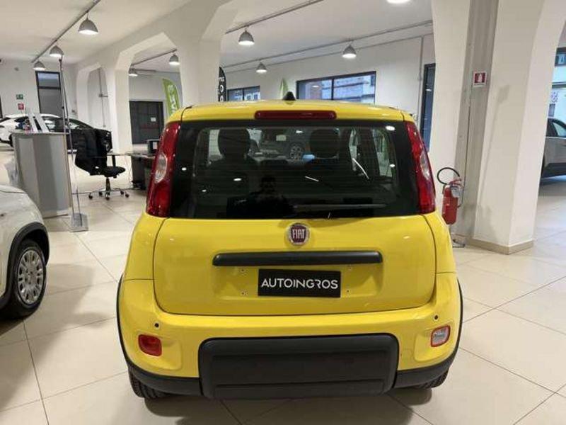 FIAT Panda 1.0 firefly hybrid s&s 70cv 5p.ti