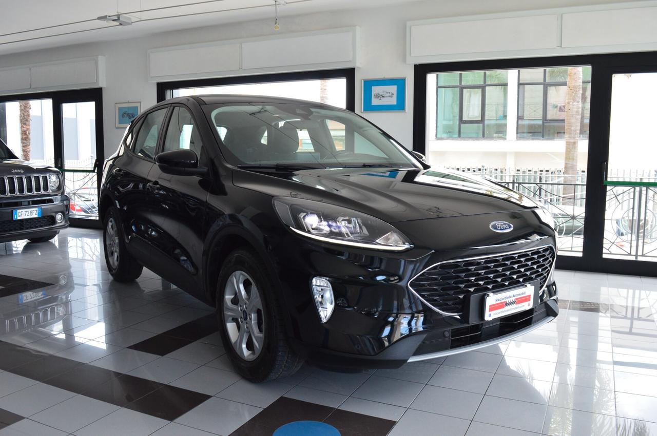 Ford Kuga 1.5 EcoBlue 120Cv 2WD Connect auto