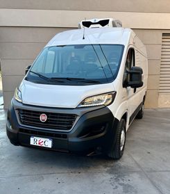 Fiat Ducato Furgone Frigo Congelatore