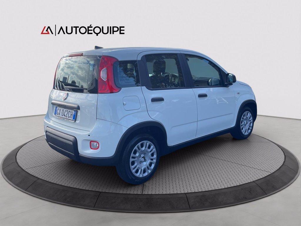 FIAT Panda 1.0 firefly hybrid s&s 70cv 5p.ti del 2024