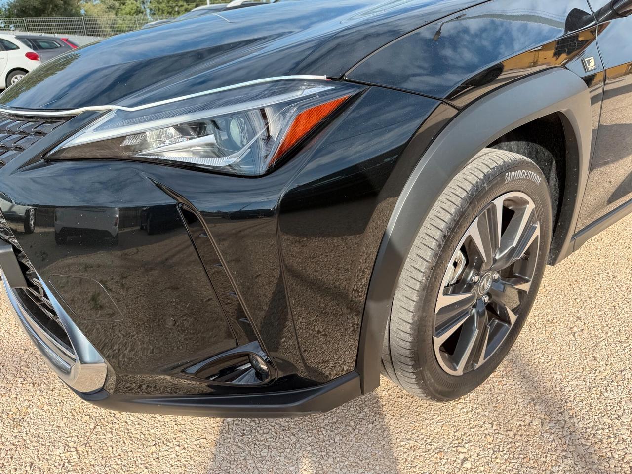 Lexus UX UX250H Hybrid Premium 184cv 2.0 2wd cvt my20