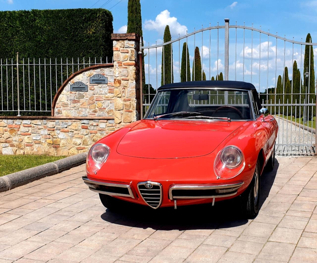 Alfa Romeo Spider Duetto osso di seppia 1750