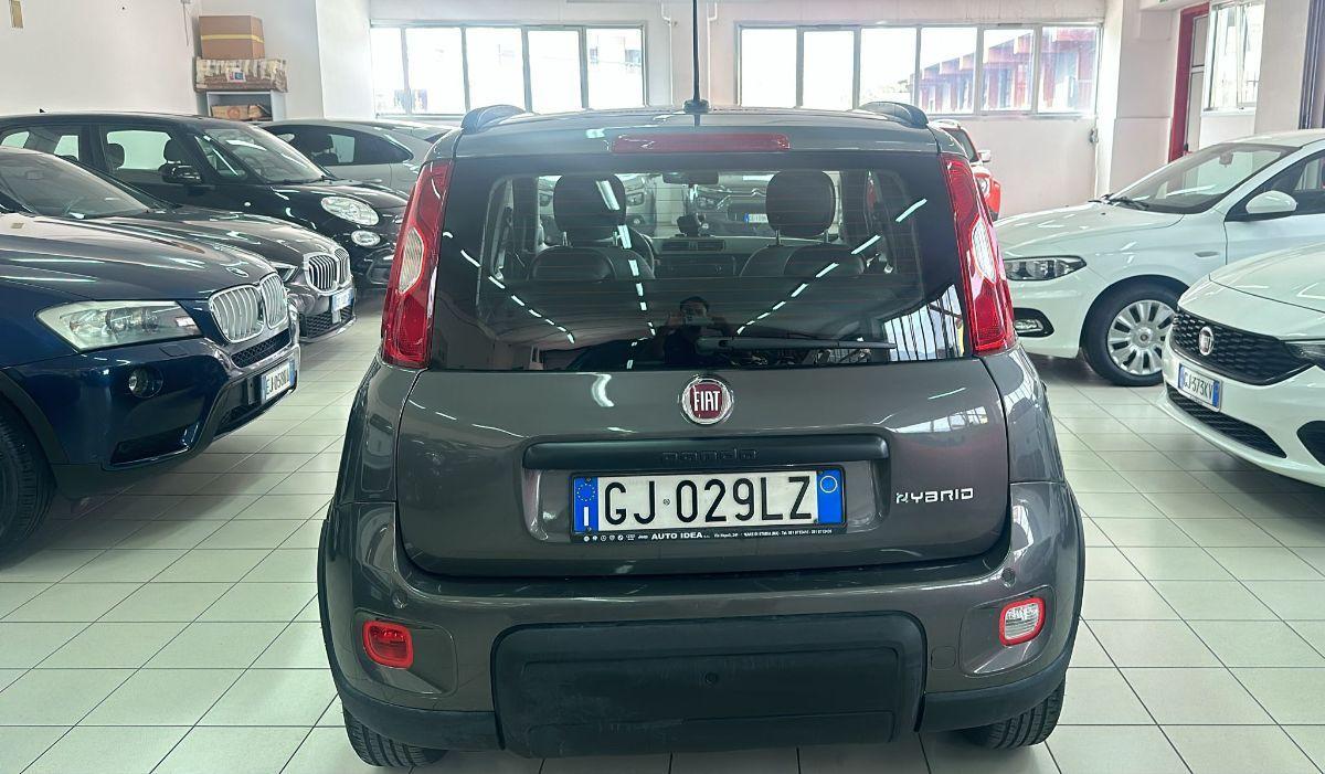 FIAT - Panda - 1.0 FireFly S&S Hybrid City Life