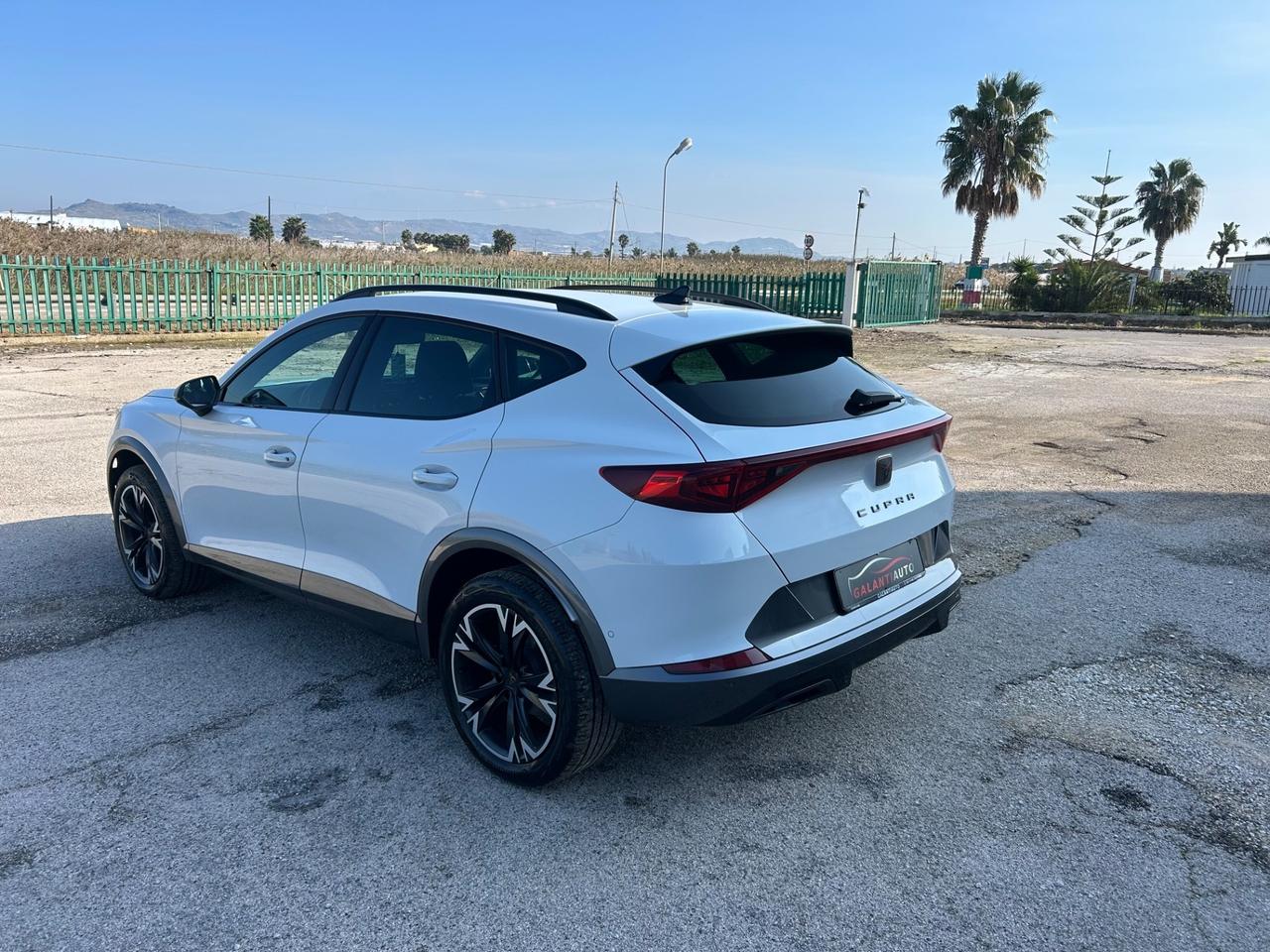 Cupra Formentor 2.0 TDI 4Drive DSG