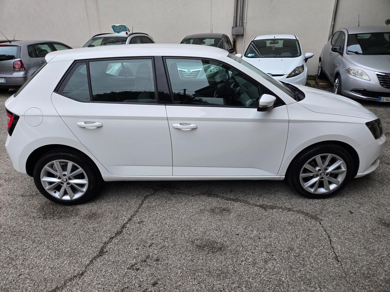 Skoda Fabia 1.4 TDI 75 CV Autocarro 4Posti