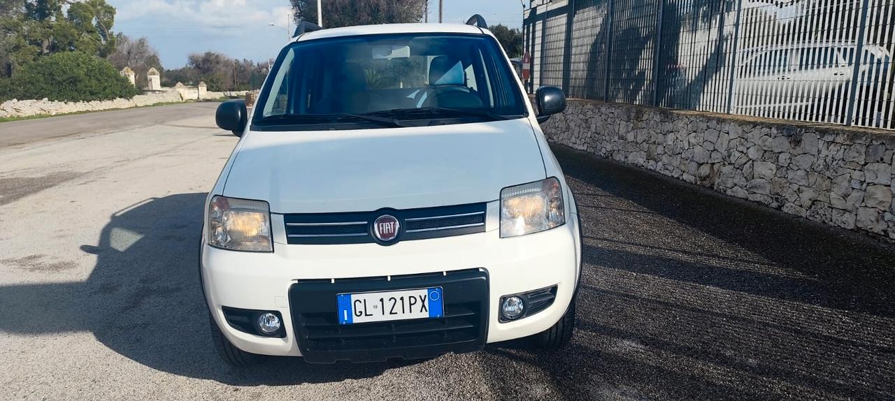 Fiat Panda 1.2 4x4
