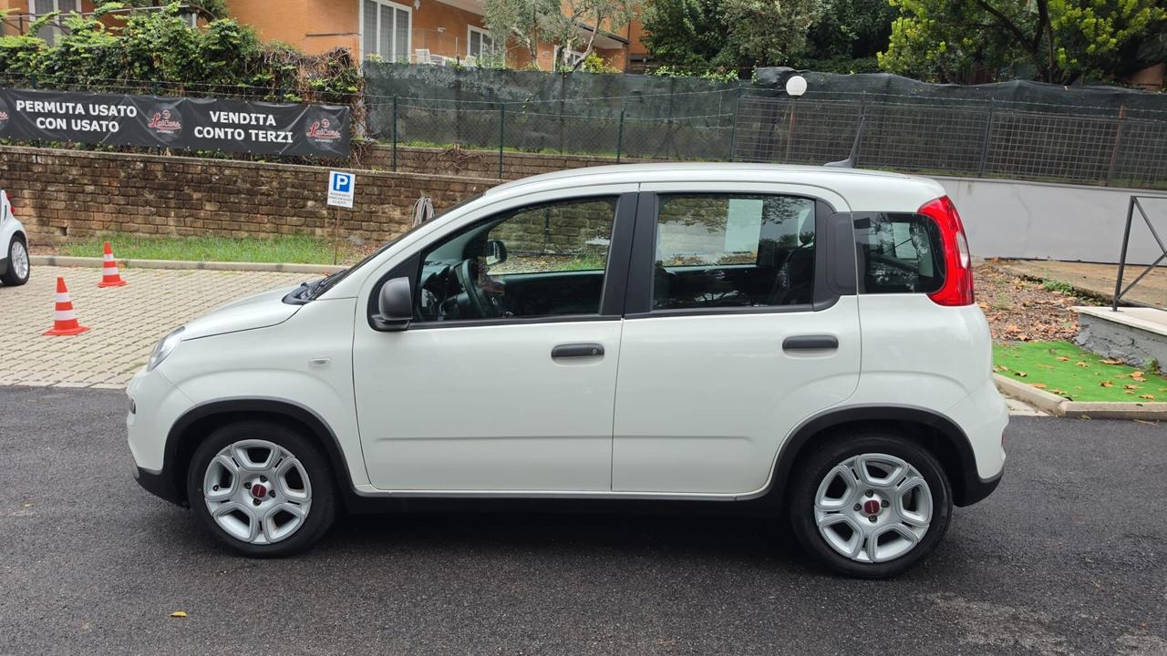 Fiat Panda 1.0 FireFly S&S Hybrid Prezzo in OFFERTA PROMO