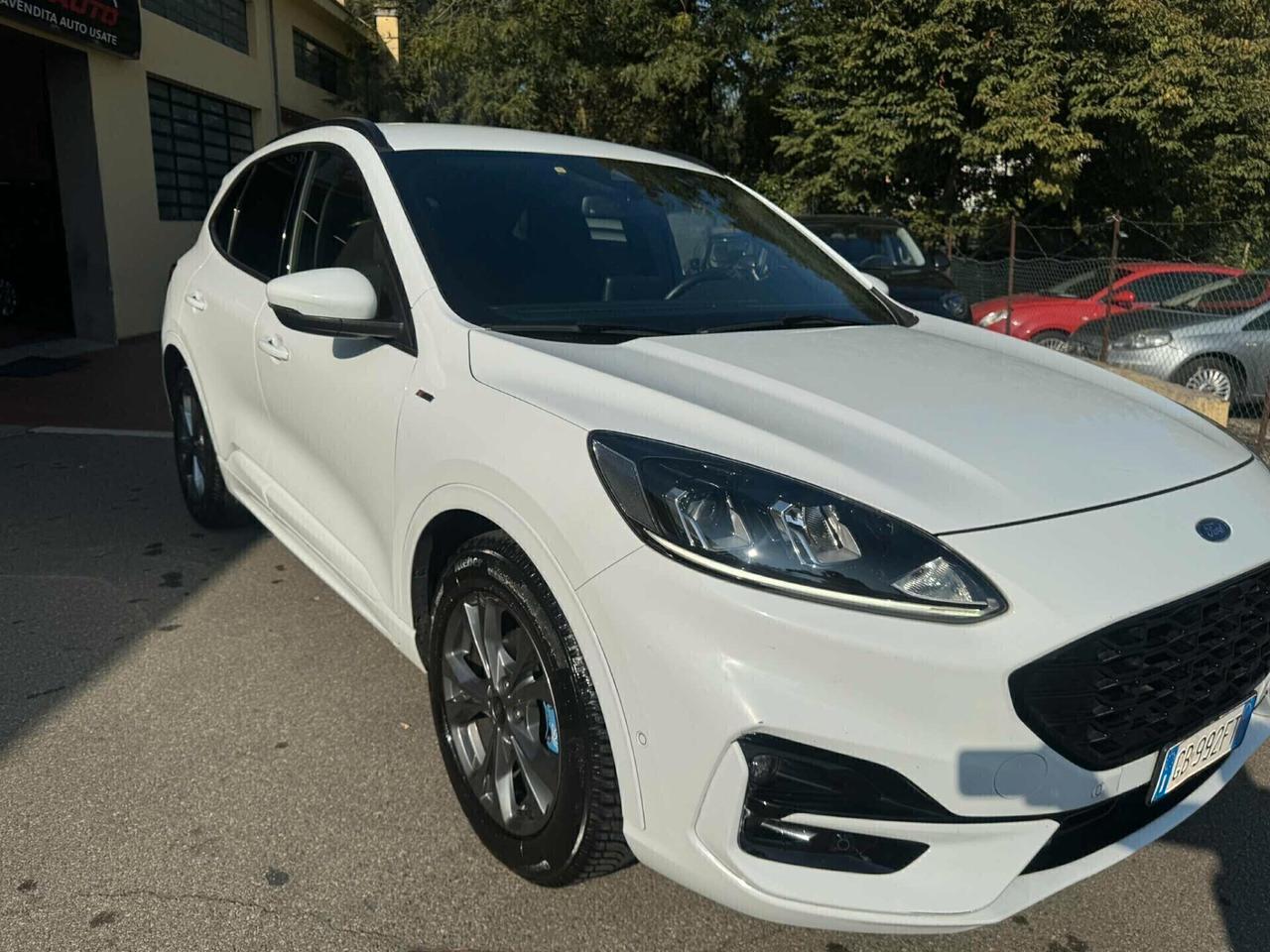 Ford Kuga Anno 2020 1.5 Diesel