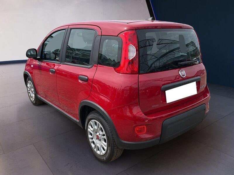 FIAT Panda My24 1.0 70cv Hybrid Panda