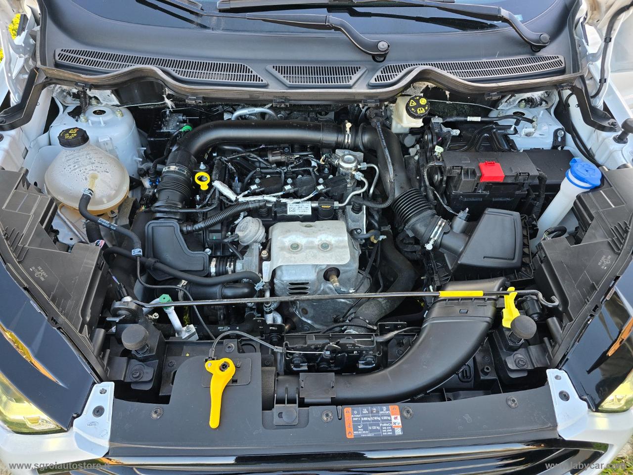 FORD EcoSport 1.0 EcoBoost 125 CV S&S ST-Line