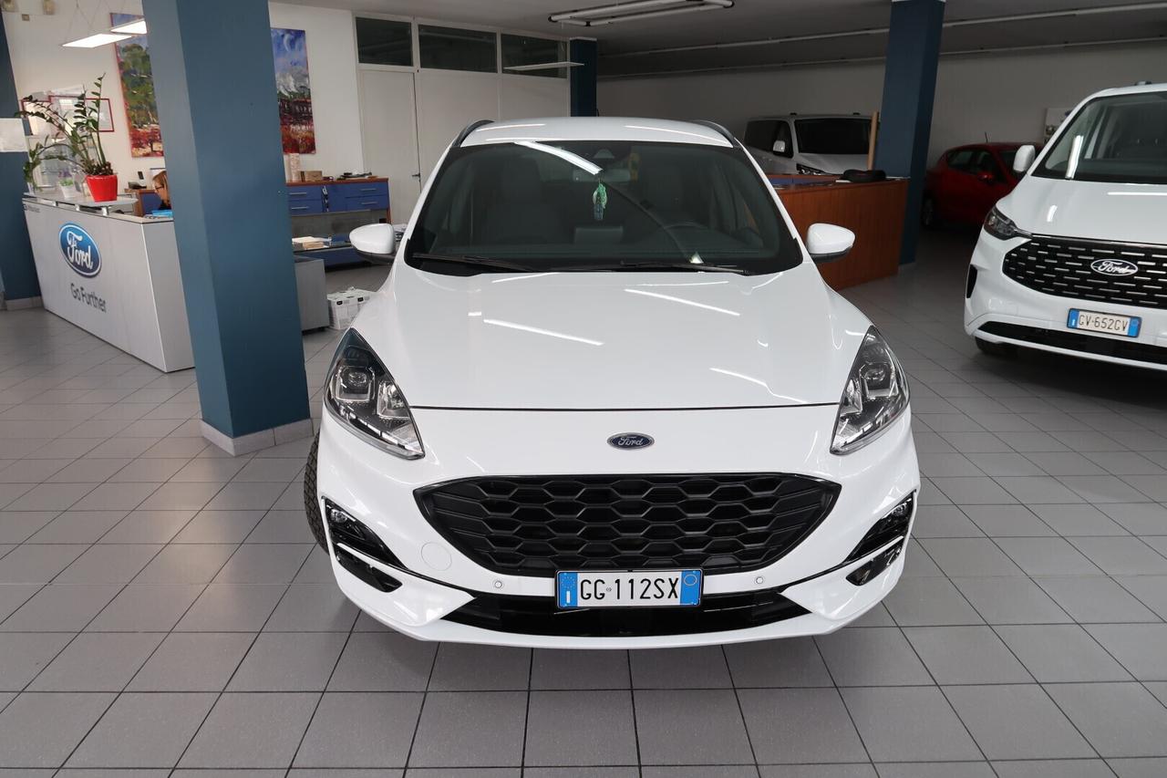 Ford Kuga 1.5 EcoBlue 120 CV aut. ST-Line