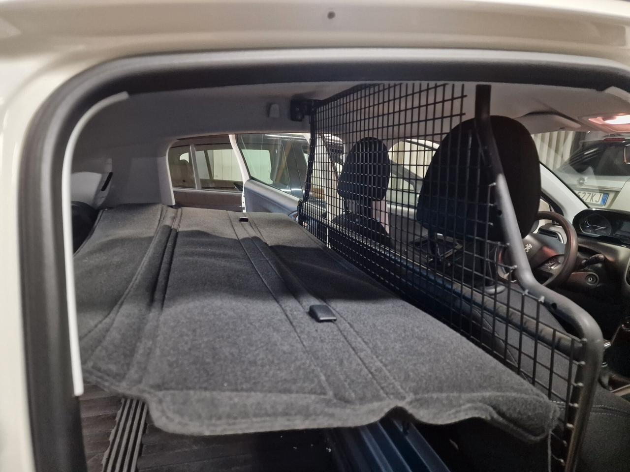 Peugeot 208 BlueHDi 100 S&S 5 porte Van Active