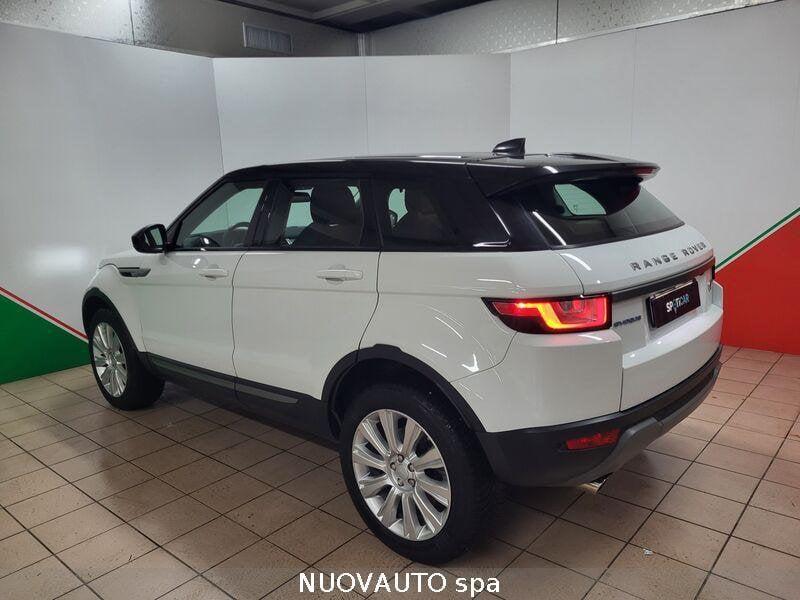 Land Rover RR Evoque Range Rover Evoque 2.0 TD4 150 CV 5p. Business Edition SE
