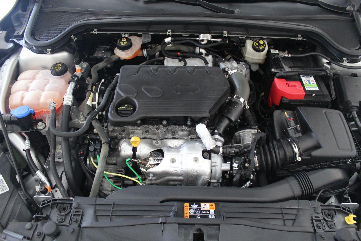 FORD - Focus Station Wagon - Focus 1.5 EcoBlue 120CV SW Business