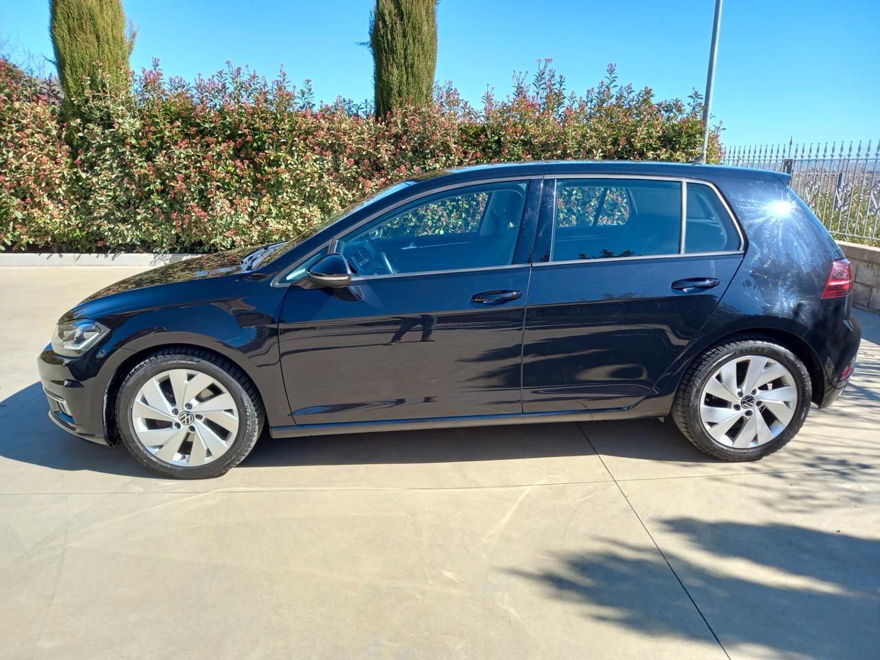 Volkswagen Golf 1.6 TDI 115 CV 5p. Executive BlueMotion Technology