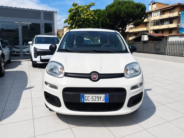 FIAT Panda Hybrid 1.0 S&S 69 Cv Neo Patentati