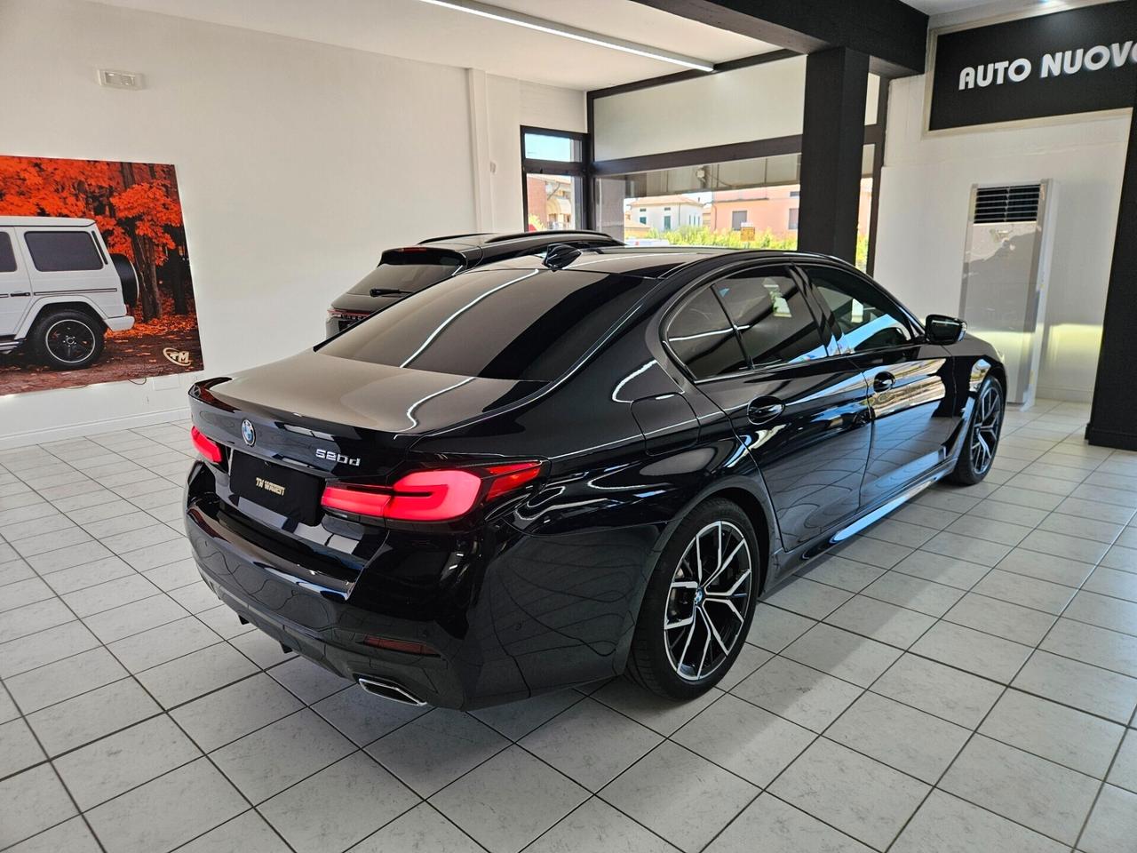 Bmw 520 520d 48V Msport