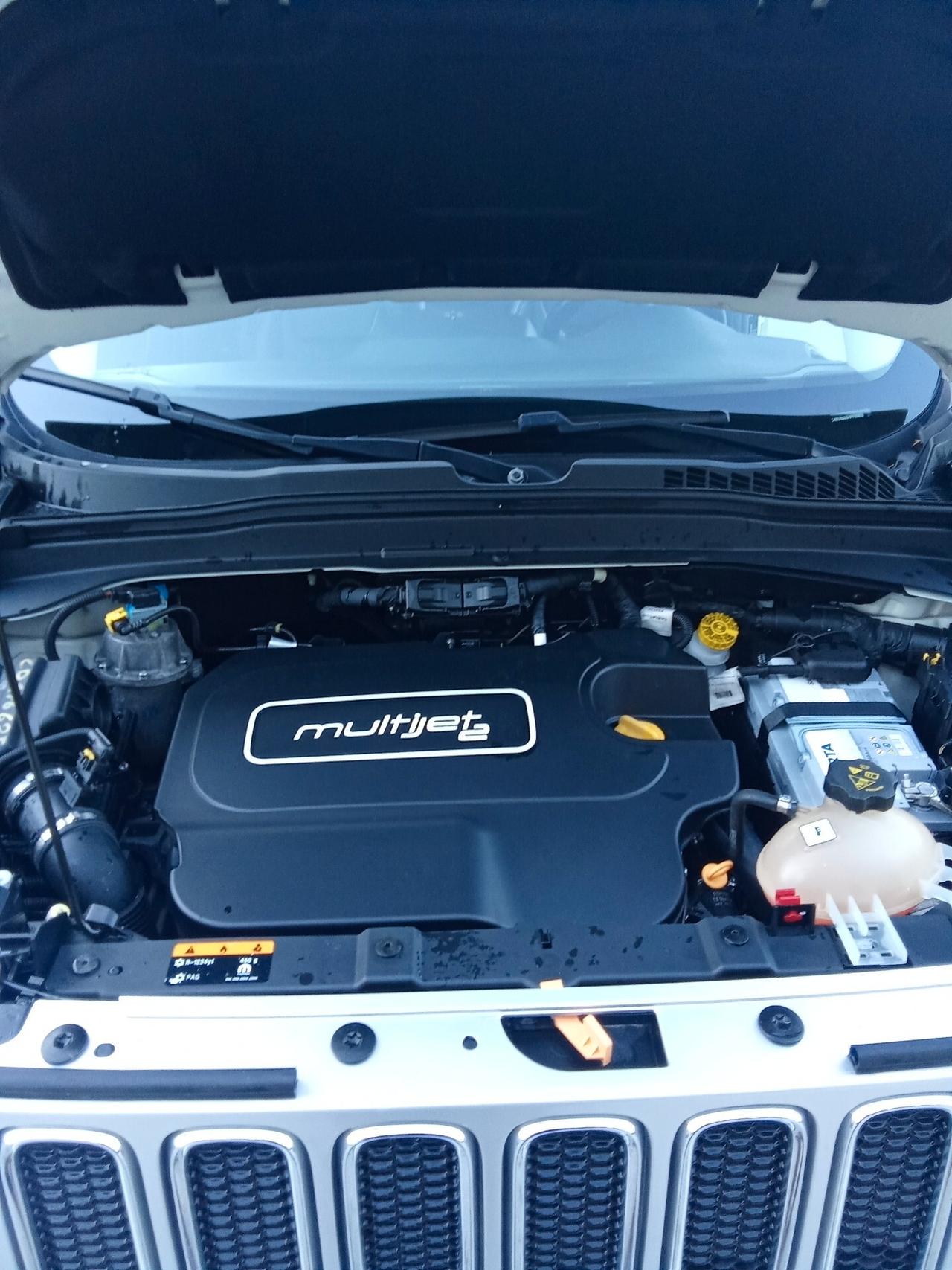 Jeep Renegade 1.6 Mjt 120 CV Limited 017