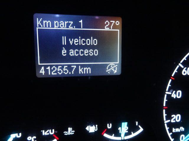 FORD Transit Custom 340 2.0EcoBlue 130 PLugno Trend IsotermicoFRAX-0°