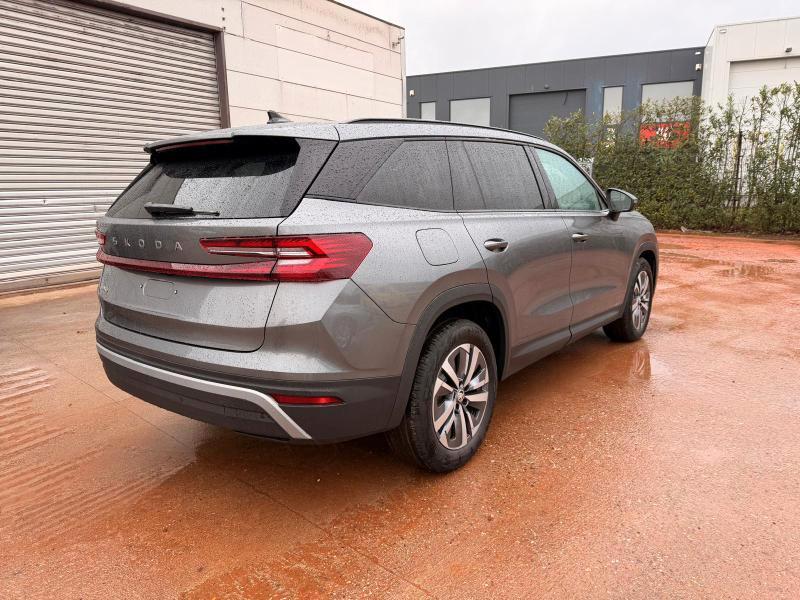 Skoda Kodiaq 2.0 tdi Selection 150cv dsg 7/Posti View Pack Plus Pack Plus