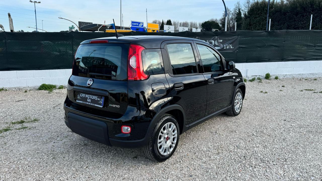 Fiat Panda 1.0 FireFly S&S Hybrid PROMO FINANZIAMENTO