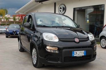 Fiat Panda 1.0 firefly 70CV hybrid City Life S&S Uff Italy