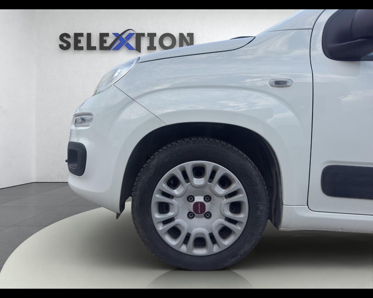 FIAT PANDA - Panda 1.2 Easy