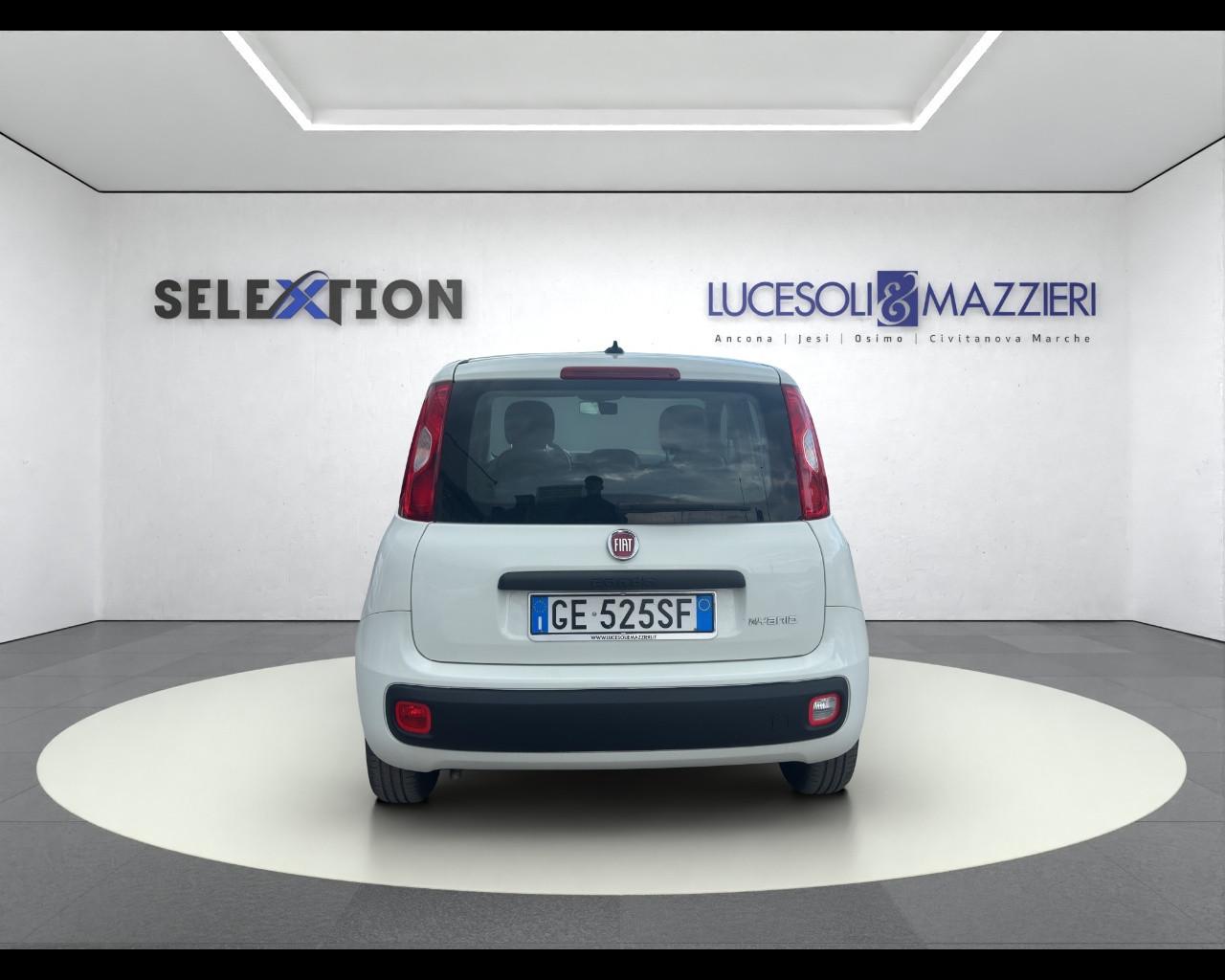 FIAT Panda 3ª serie - Panda 1.0 FireFly S&S Hybrid
