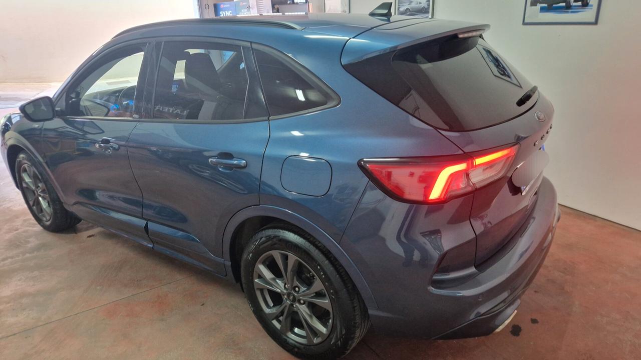 Ford Kuga 1.5 EcoBlue 120 CV aut. 2WD ST-Line led N1