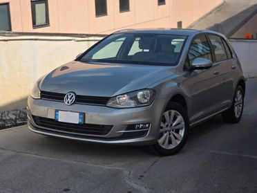 Volkswagen Golf 1.6 TDI 110 CV 5p. Executive BlueMotion Technology