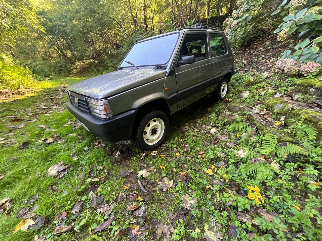 Fiat Panda 1000 i.e. cat 4x4 Trekking