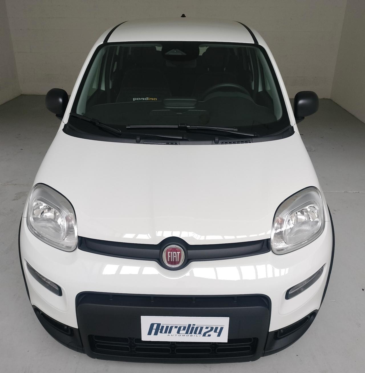 Fiat Panda PANDINA 1.0 FireFly S&S Hybrid NEOPATENTATO